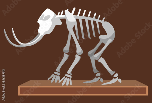 Mammoth with tusks vector, skeleton of mastodon, paleontology museum exhibition of creature remains. Education getting knowledge of past animals illustration in flat style design for web, print