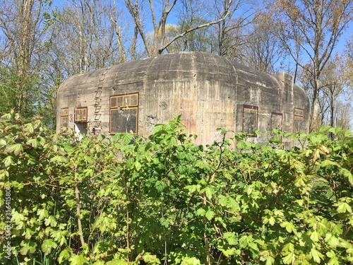 Die Natur holt sich die Bunker zurück