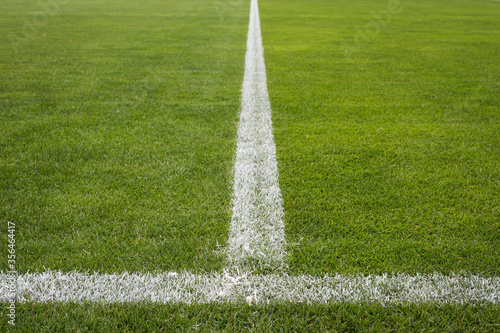 Lines on dthe grass at the sports ground