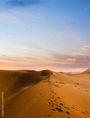 Sand dunes in the Empty Quarter (Rub' al Khali) Saudi Arabia