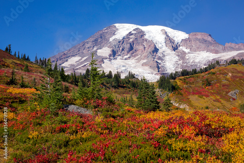 Stunning fall foliage at Mt. Rainier National Park in Washington state 