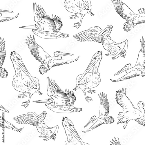 different pelican pattern drawing vectors