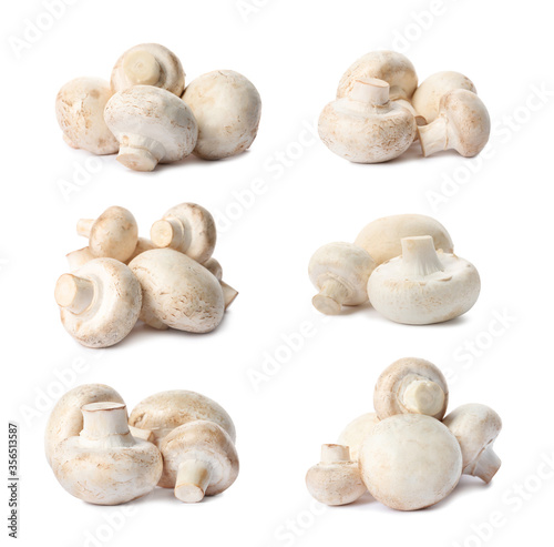 Set with fresh champignon mushrooms on white background