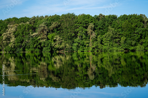 Widok na wiosenny las nad jeziorem. Leśne jezioro wiosną. wiosenny las jezioro krajobraz