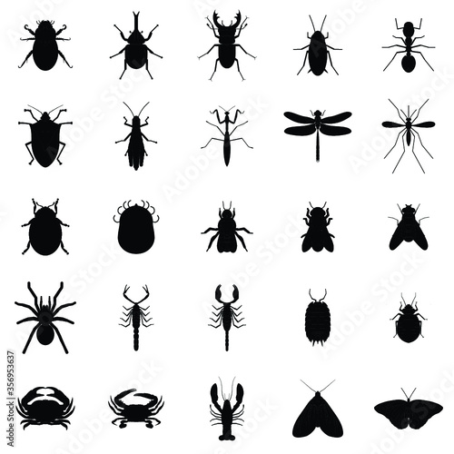bug insects vector silhouette set