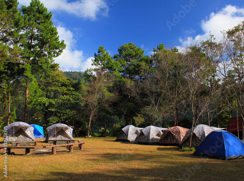 Camping area with many tent for tourism sleep and take a rest among nature with green tree and blue background at national park, Thailand. Landmark for tourist visited natural and Activity 