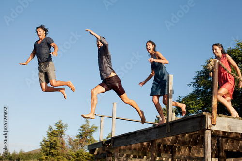 Enthusiastic friends jumping off dock