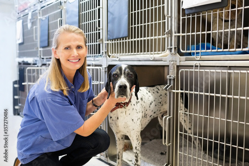 Vet placing dog in kennel