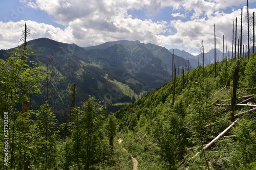 Waksmundzka Dolina, Tatry, Tatrzański Park Narodowy