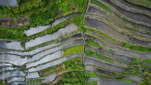 Aerial top-down view on rice terraces full of water with some crops. Terraces from above create abstract forms, shapes, textures, and backgrounds. 