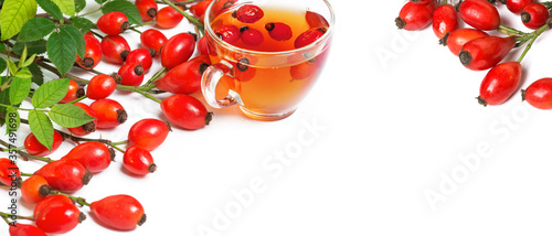 Dog rose, bunch branch Rosehips, types Rosa canina hips herbal Medicinal plants herbs composition on white
