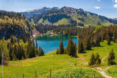 Lake Lac des Chavonnes in Switzerland surrounded by the mountains and trees