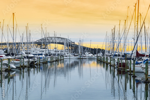 Mooring Boats at Westhaven Marina Auckland New Zealand; Auckland Harbour Bridge as the Background