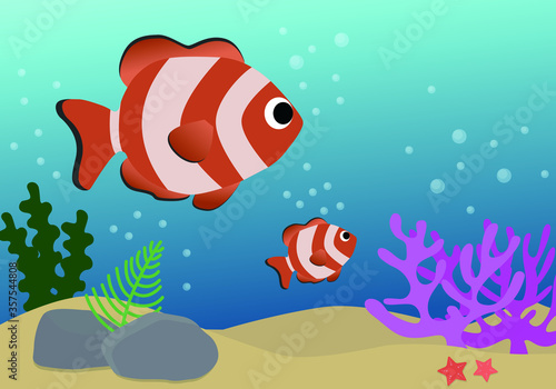vector illustration of a coral fish