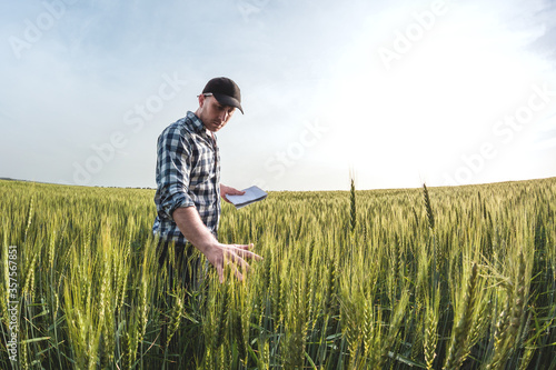 male agronomist in cap takes notes in a notebook on a green agricultural field of wheat