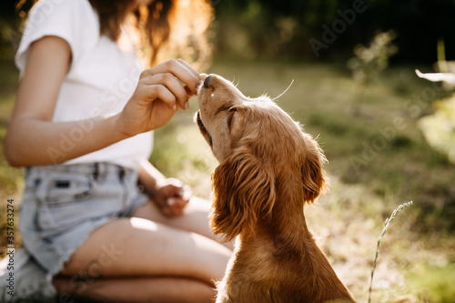 Young woman training her little dog, cocker spaniel breed puppy, outdoors, in a park.
