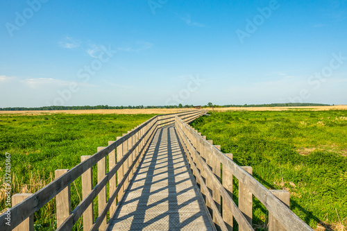 Narew Podlasie Podlaskie Narwiański Park Narodowy Most kładka trzcina