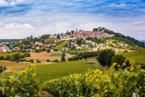 Vue de la ville de Sancerre avec des vignes en premier plan