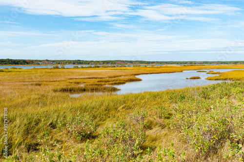 Wetland of Sengekontacket Pond on Martha's Vineyard, Nerw England