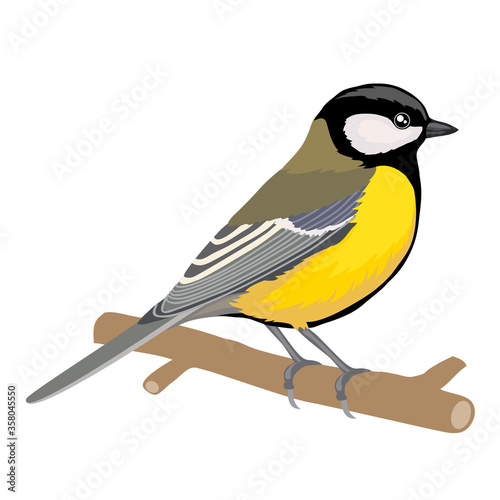 tit bird sits on a branch, isolated object on a white background, vector illustration,