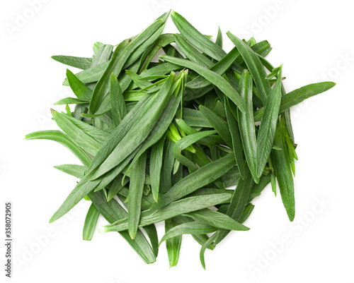 Tarragon leaves isolated on white background. Artemisia dracunculus. top view
