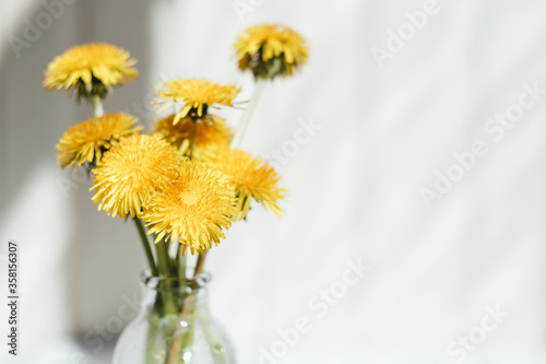 Bouquet of yellow dandelions, on a light background. Summer concept.