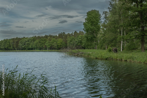 Słoneczny dzień nad jeziorem.