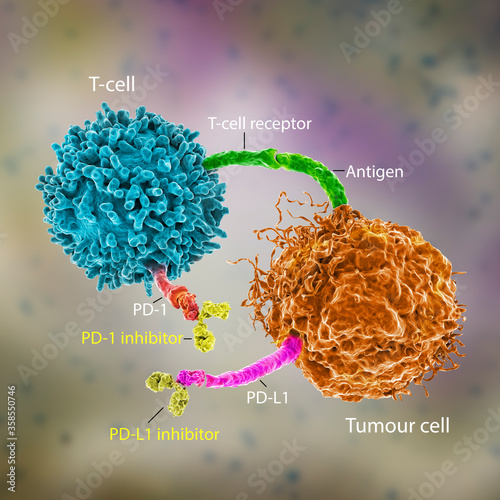 Immune checkpoint inhibitors in cancer treatment