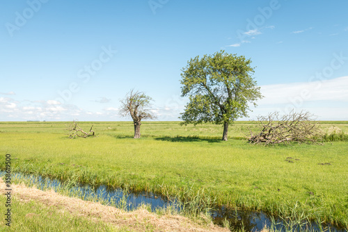 green farmland with trees and a blue sky with white clouds