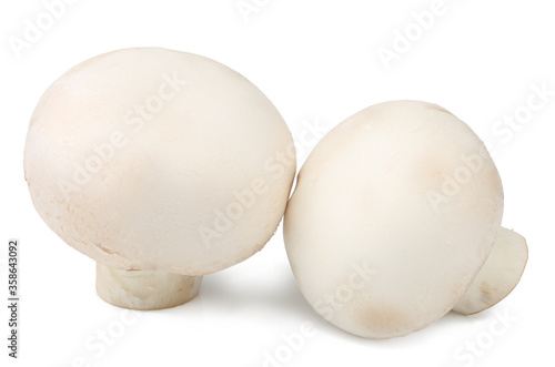 Mushrooms isolated on a white background