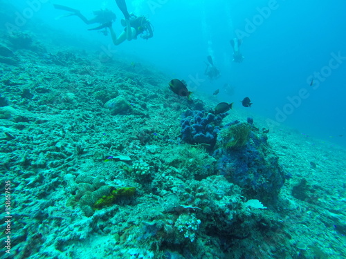 Plongeurs sous marin aux iles Gili, Indonésie