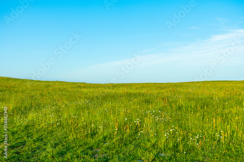 Pole łąka trawa niebo