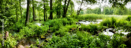 Płytka rzeka płynąca przez las. Rzeka Grabia, Ldzań, Polska. 
