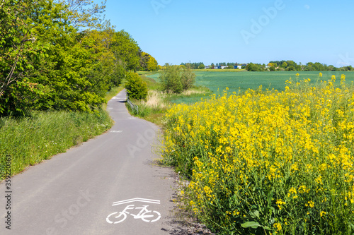Cycling route in green fields with yellow canola flowers near Kolobrzeg, Baltic Sea coast, Poland
