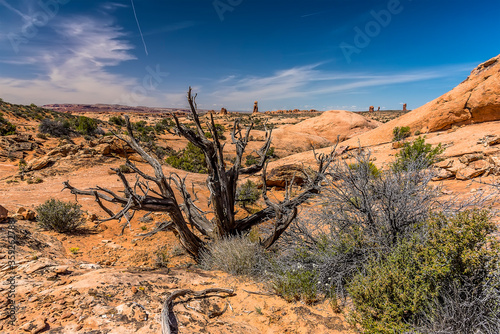 A view towards rock pinnacles in Arches National Park, Moab, Utah in springtime