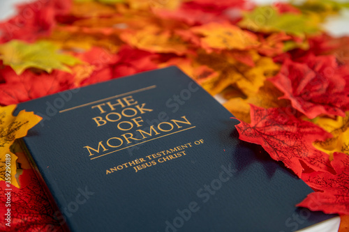 The Book of Mormon in a Background of Leaves. 