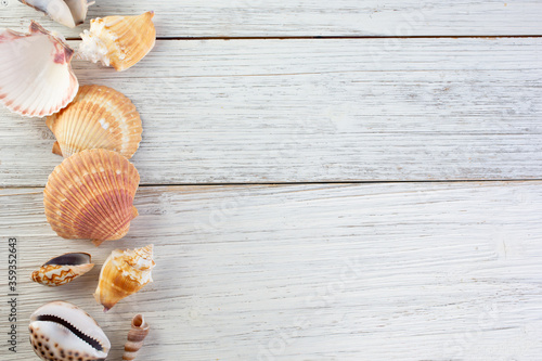 A top down view of a set of shells on the left side of a rustic wooden surface, featuring scallop shells.