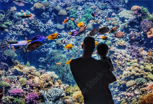 Aquarium im Rostocker Zoo - Vater und Sohn entdecken Fische im Korallenriff