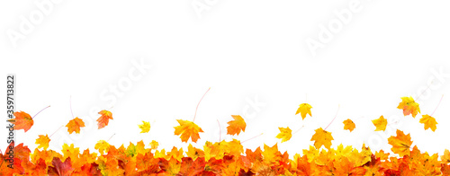 autumn leaves frame isolated on white background