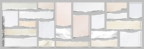 Colored ripped lined paper strips collection. Realistic paper scraps with torn edges. Sticky notes, shreds of notebook pages. Vector illustration.