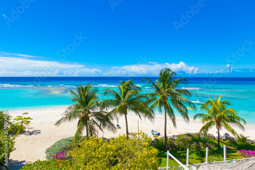 Paradise beach. Sunny beach with palm and turquoise sea. Worthing beach in Barbados.