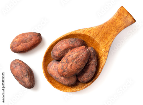 dried cocoa beans in the wooden spoon, isolated on white background, top view