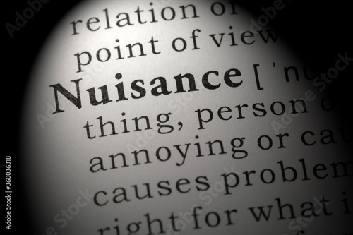 definition of nuisance