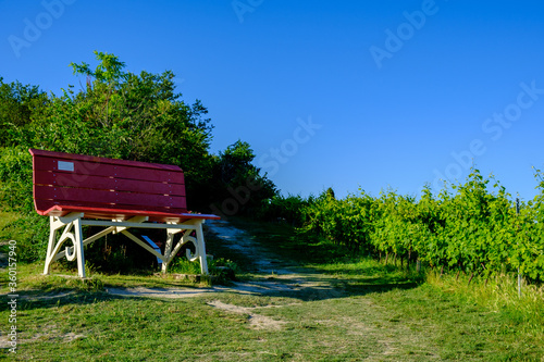 Big Bench tra i vigneti di Rosignano Monferrato