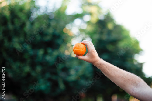 Balanced diet food of fresh product organic orange on hand with nature background. healthy food, nutrient, skin care concept.