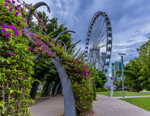 A flower-decorated walkway on the south bank of the Brisbane River, Brisbane, Queensland