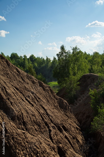 Vegetation of the Romantsevsky mountains, Tula region, Russia.