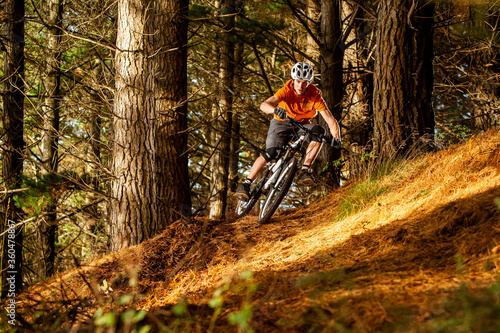 Mountain Biking in Pine Forest