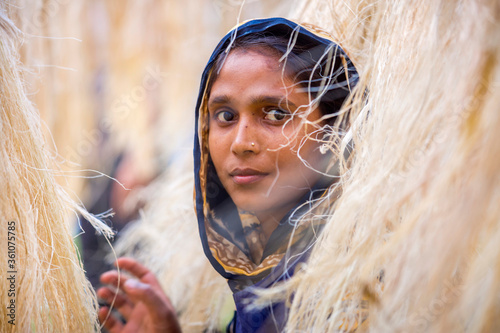 A female worker is processing the fibers from the pineapple leaves and letting them dry in the sun. Agricultural waste product.