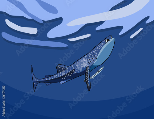 whale shark with remora fish vector